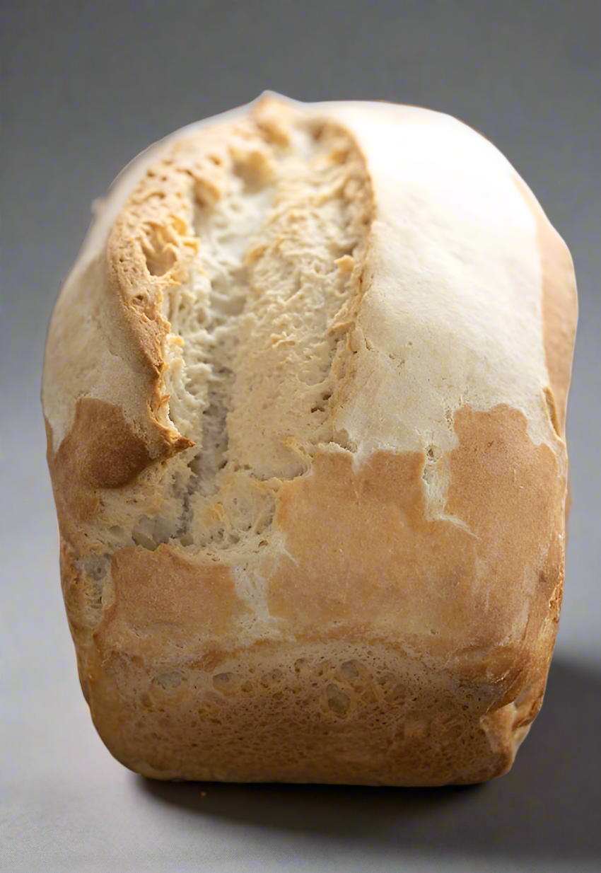 Gluten-Free Sourdough